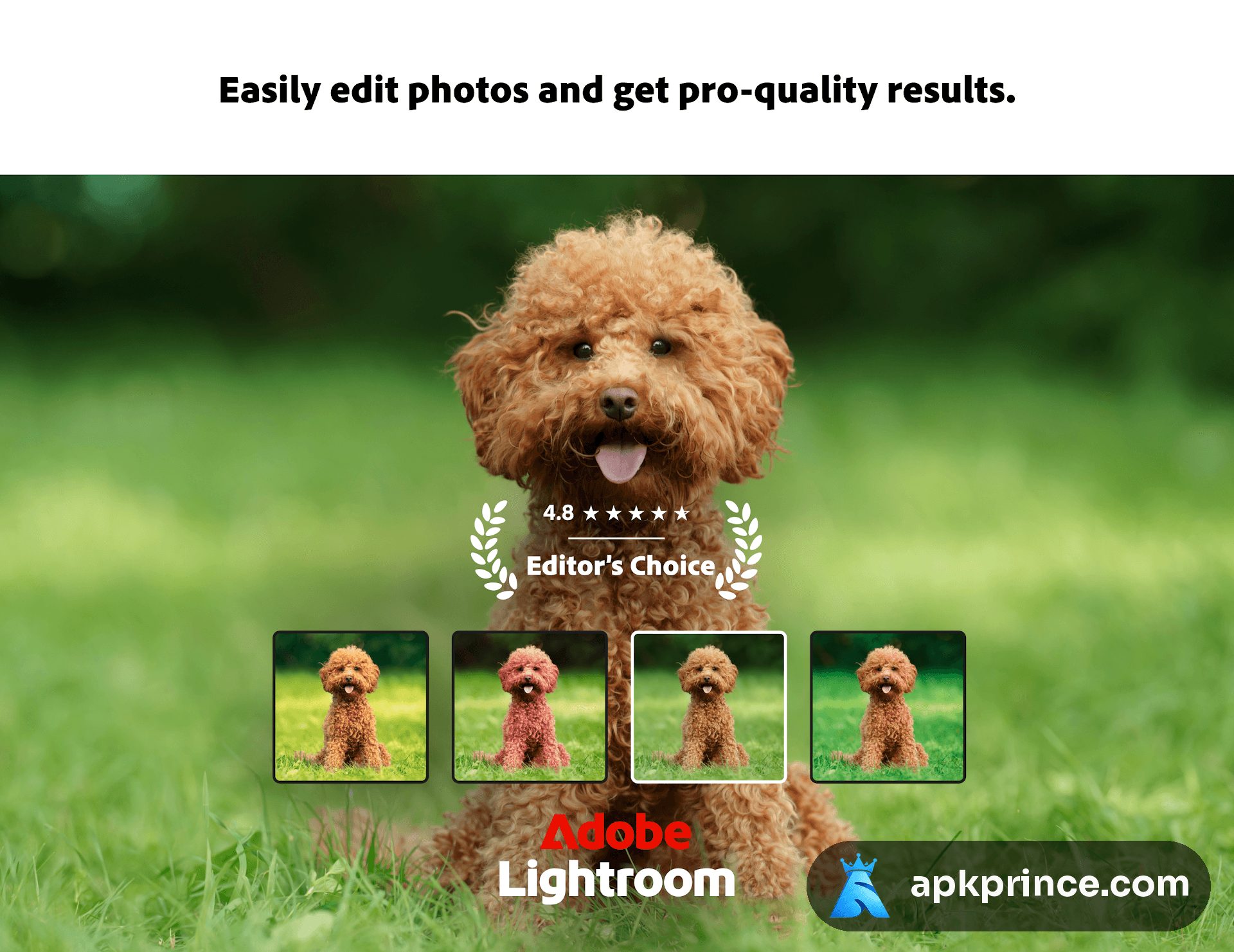 Lightroom Photo & Video Editor screenshot 1